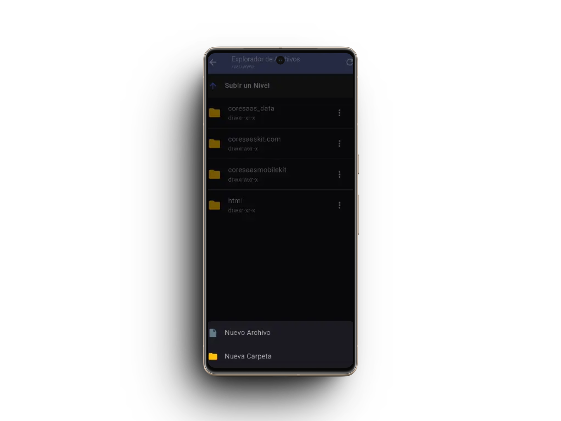 Explorador de archivos remoto